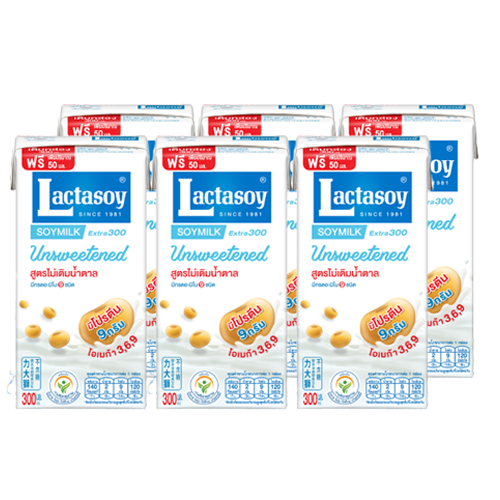 Lactasoy Soy Milk UHT Unsweetened Flavored 300ml 1x6