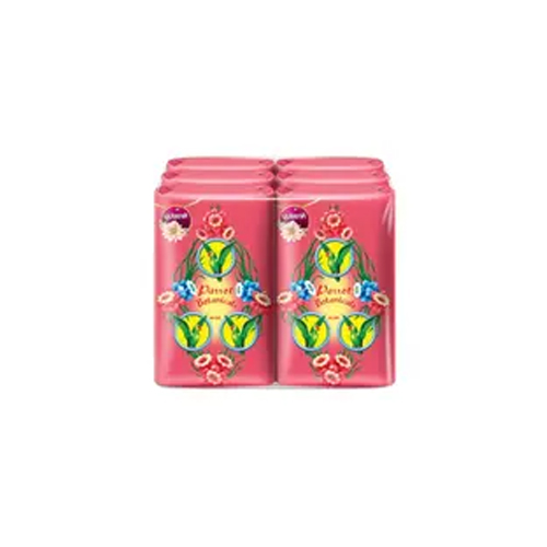 Parrot Bota Anti-bac Pink 55g 1x6