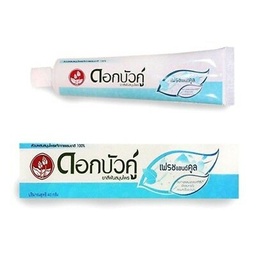 Twin Lotus  Fresh & Cool Herbal Toothpaste  40g / (Unit)