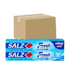 Salz Toothpaste Fresh Japanese Mint Pack 2 140g 1x6x4 / (Box)